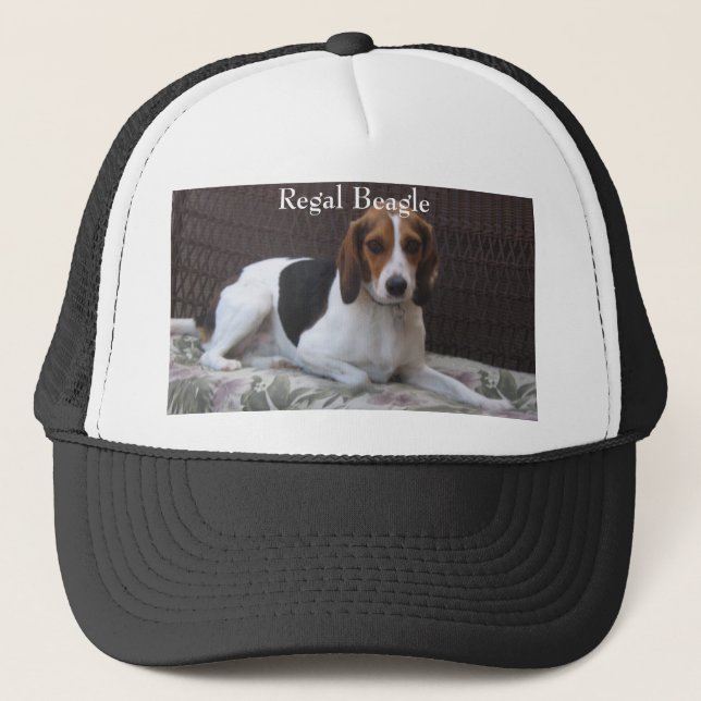 Regal Beagle Hound Dog Hat (Front)