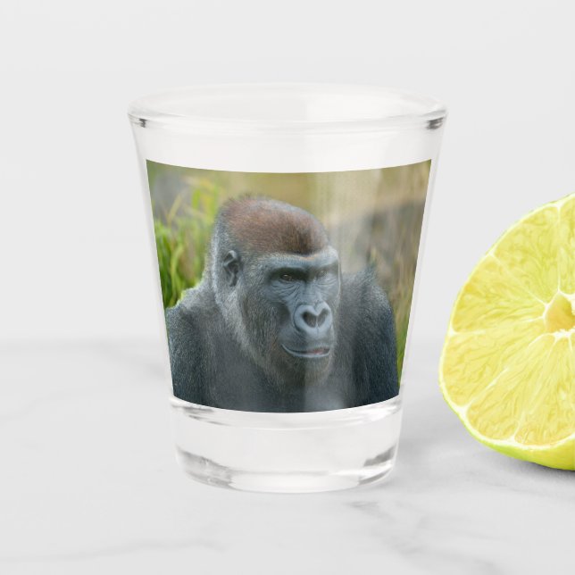 Regal Blackback Gorilla Shot Glass (Front)