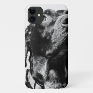 regal bw dog Case-Mate iPhone case