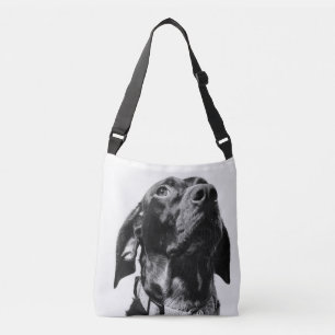 regal bw dog crossbody bag