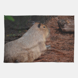 regal capybara back view animal tea towel