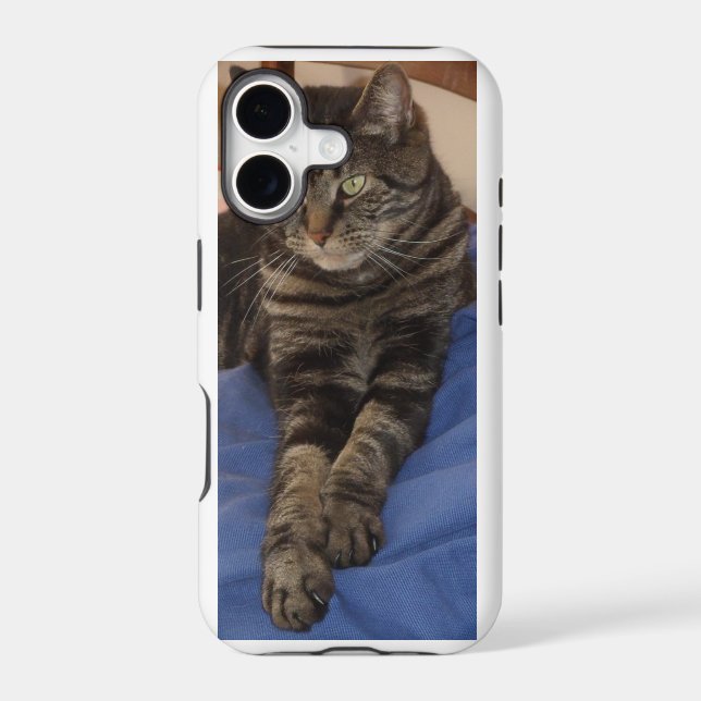 Regal Dave Cases (Back)