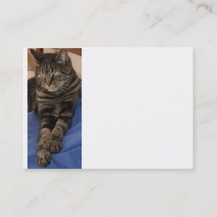 Regal Dave Chubby Business Card