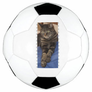 Regal Dave Football Soccer Ball