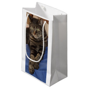 Regal Dave Gift Bag