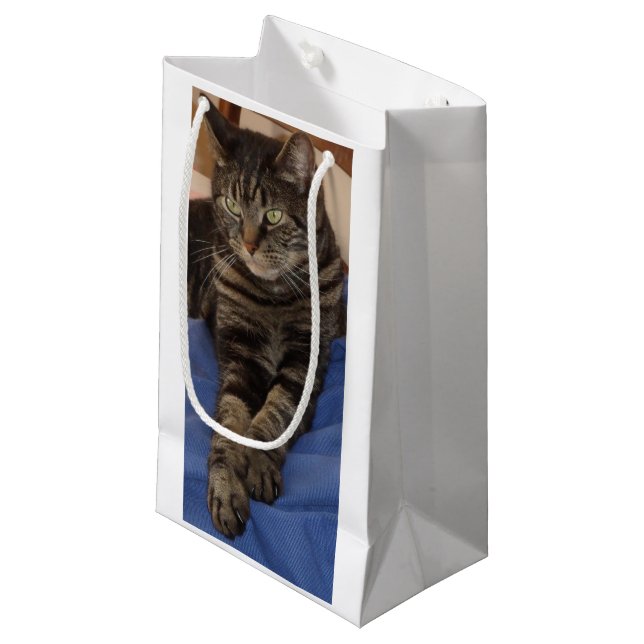Regal Dave Gift Bag (Front Angled)