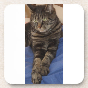 Regal Dave Hard Plastic Coasters with Cork Backs