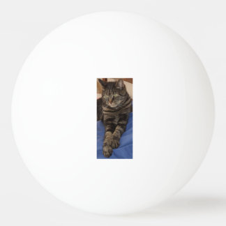 Regal Dave One Star Ping Pong Ball
