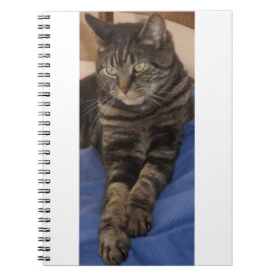 Regal Dave Photo Notebook (80 Pages)