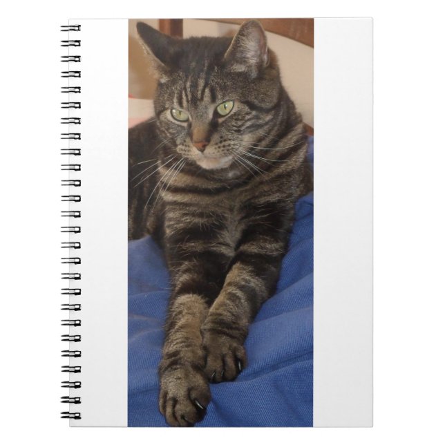 Regal Dave Photo Notebook (80 Pages) (Front)