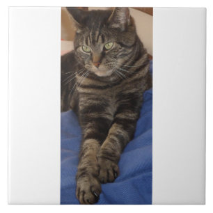 Regal Dave Photo Tile