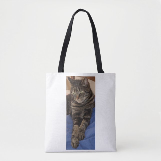 Regal Dave Shoulder Tote Bag (Front)