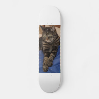 Regal Dave Skateboard