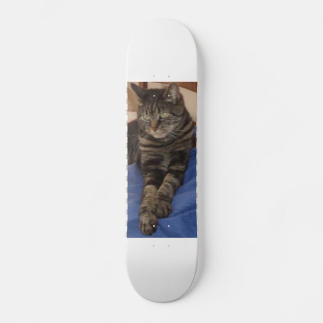 Regal Dave Skateboard (Front)