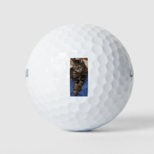 Regal Dave Wilson Ultra 500 Distance Golf Ball