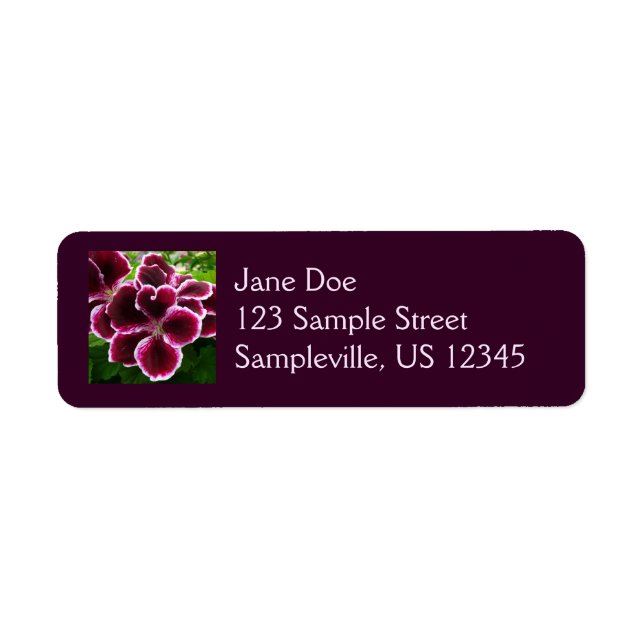 Regal Geranium Flowers Elegant Maroon Floral (Front)