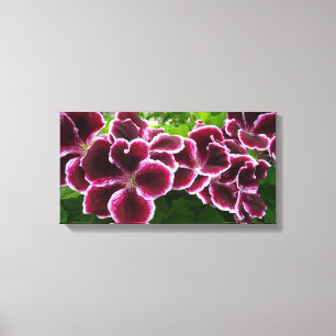 Regal Geranium Flowers Elegant Maroon Floral Canvas Print