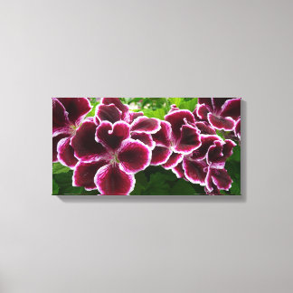 Regal Geranium Flowers Elegant Maroon Floral Canvas Print