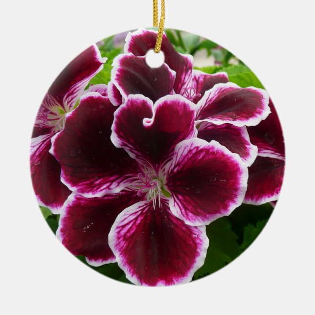 Regal Geranium Flowers Elegant Maroon Floral Ceramic Tree Decoration (Front)