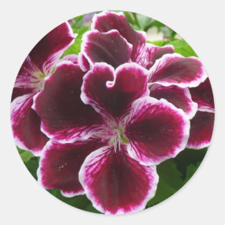 Regal Geranium Flowers Elegant Maroon Floral Classic Round Sticker