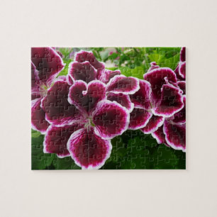Regal Geranium Flowers Elegant Maroon Floral Jigsaw Puzzle