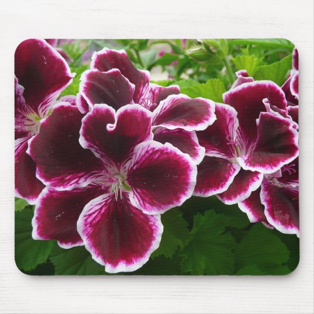 Regal Geranium Flowers Elegant Maroon Floral Lugga Mouse Pad (Front)