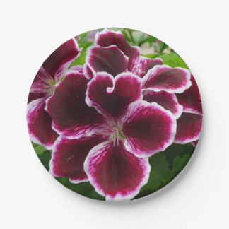 Regal Geranium Flowers Elegant Maroon Floral Paper Plate