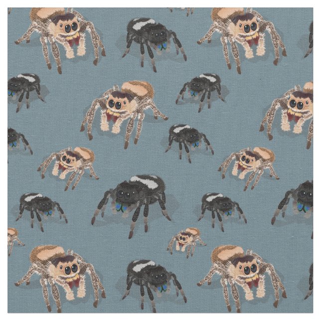 Regal Jumping Spider Phiddipus Regius Fabric (Close Up)