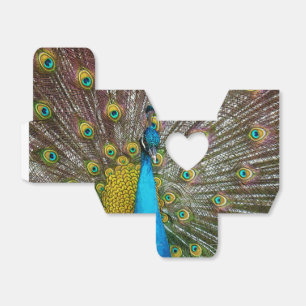 Regal Peacock Bird with Plumage on Display Favour Box