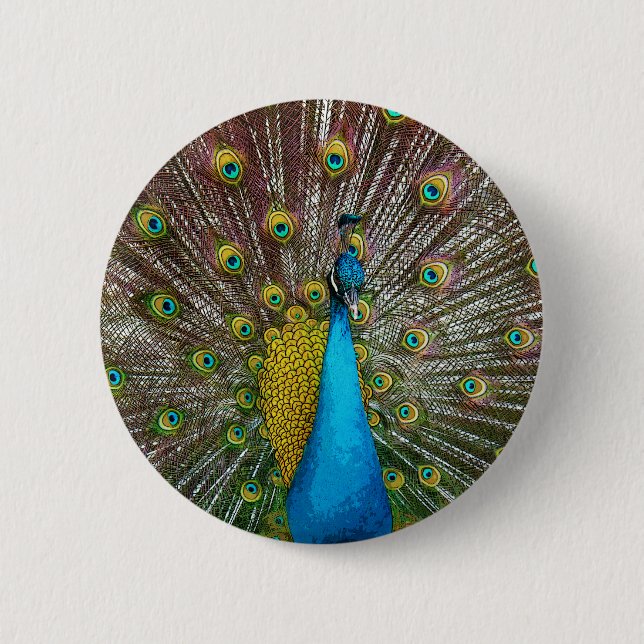 Regal Peacock Bird with Teal and Gold Plumage 6 Cm Round Badge (Front)