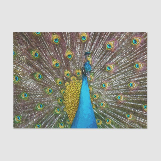 Regal Peacock Bird with Teal and Gold Plumage Tissue Paper (Front)