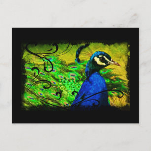 Regal Peacock Elegant Fine Art Postcard