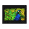 Regal Peacock Elegant Fine Art  Postcard
