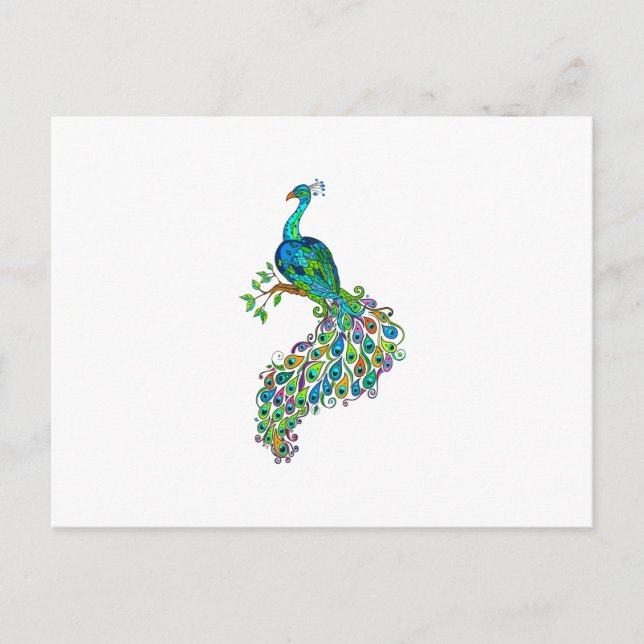 REGAL PEACOCK POSTCARD (Front)