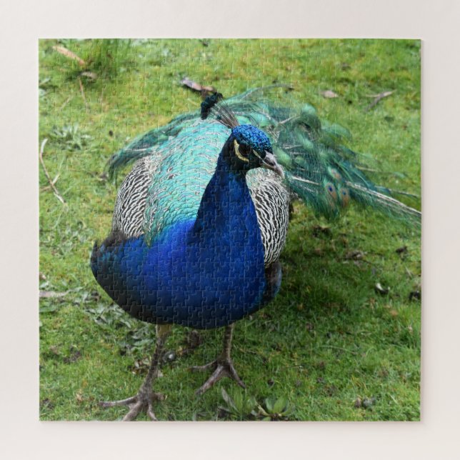 Regal Peacock Power Jigsaw Puzzle (Vertical)