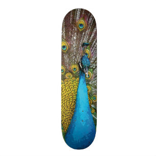 Regal Peacock with Teal Blue and Gold Feathers Skateboard