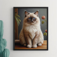 Regal Ragdoll Cat Portrait Fluffy Blue Eyed 