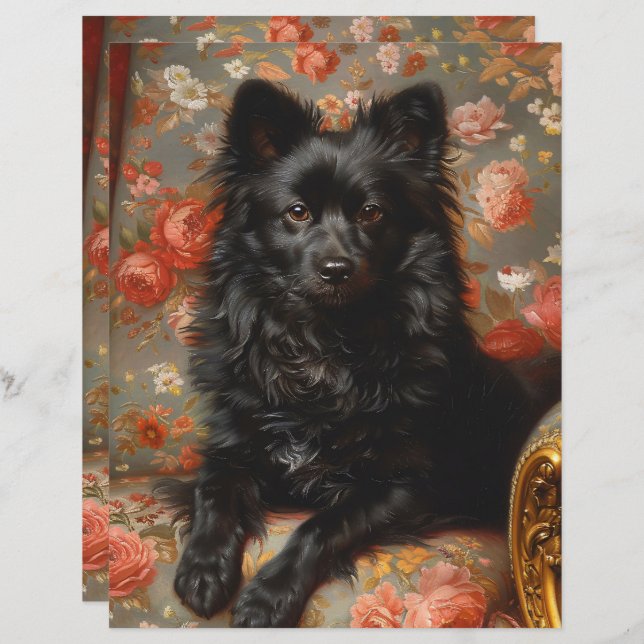 Regal Schipperke Dog Vintage Scrapbook Paper (Front/Back)