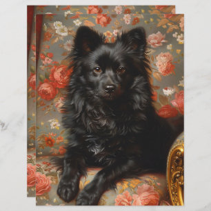 Regal Schipperke Dog Vintage Scrapbook Paper
