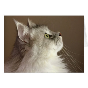 Regal Siberian Portrait Blank Card