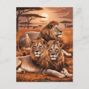 Regal Trio Resting in Nature Postcard