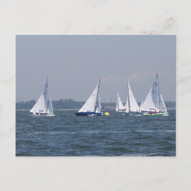 Regatta Sailing Postcard (Front)