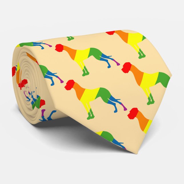 Regenbogen Krawatte Tie (Rolled)