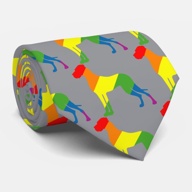 Regenbogen Krawatte Tie (Rolled)