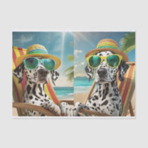 Reggie Bahama & Matilda Mama, Dalmatians on Vaca