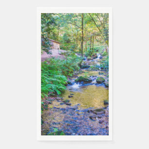 Rego da armenteira napkin