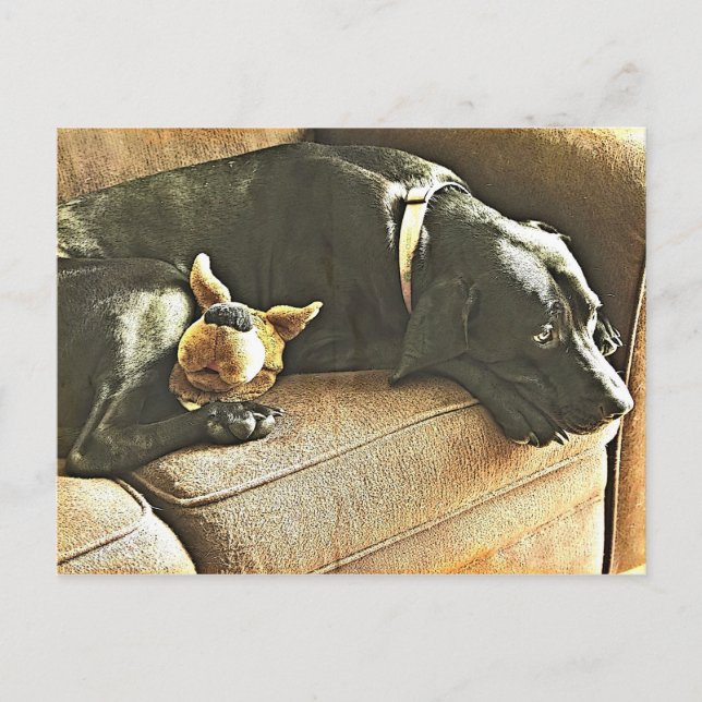 Regrets Postcard (Front)