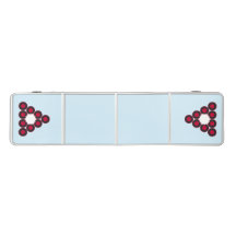 Regulation Size Beer Pong Table