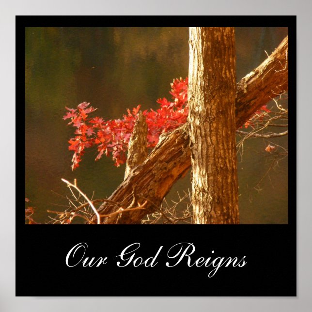 Reigns Poster (Front)