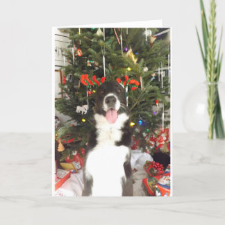 Reindeer Antlers Dog Christmas Card